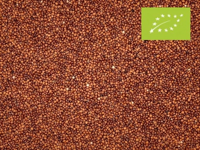 Biologische rode quinoa Bestel online! - notenkoerier